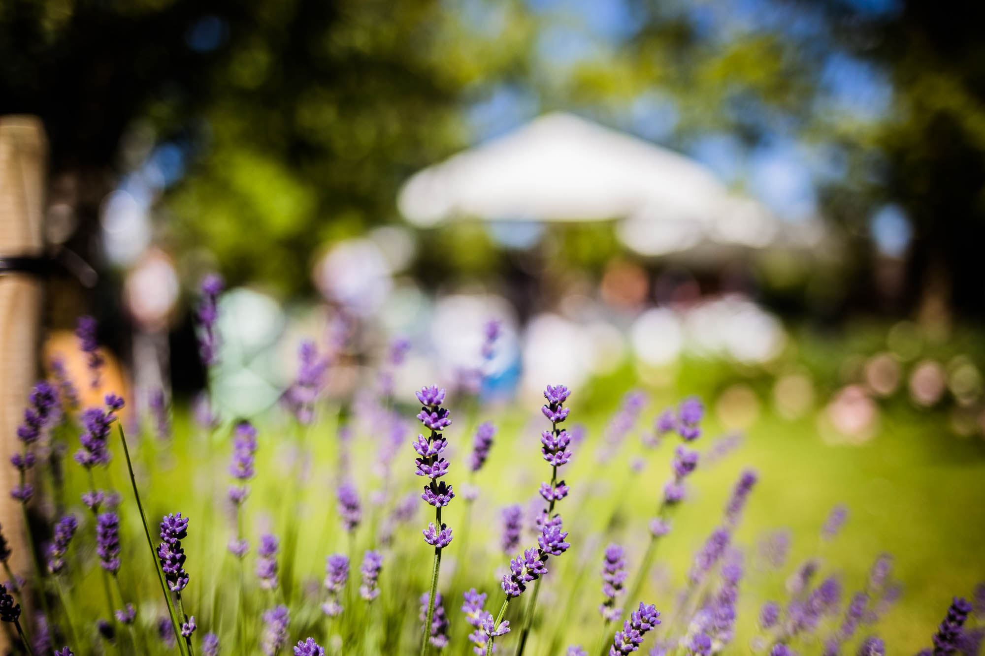 Export x3 5D4 0193 Hochzeit 2020 Claudia & Marco